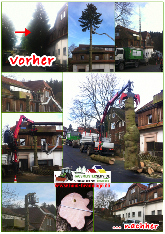 forst dienstleistungen